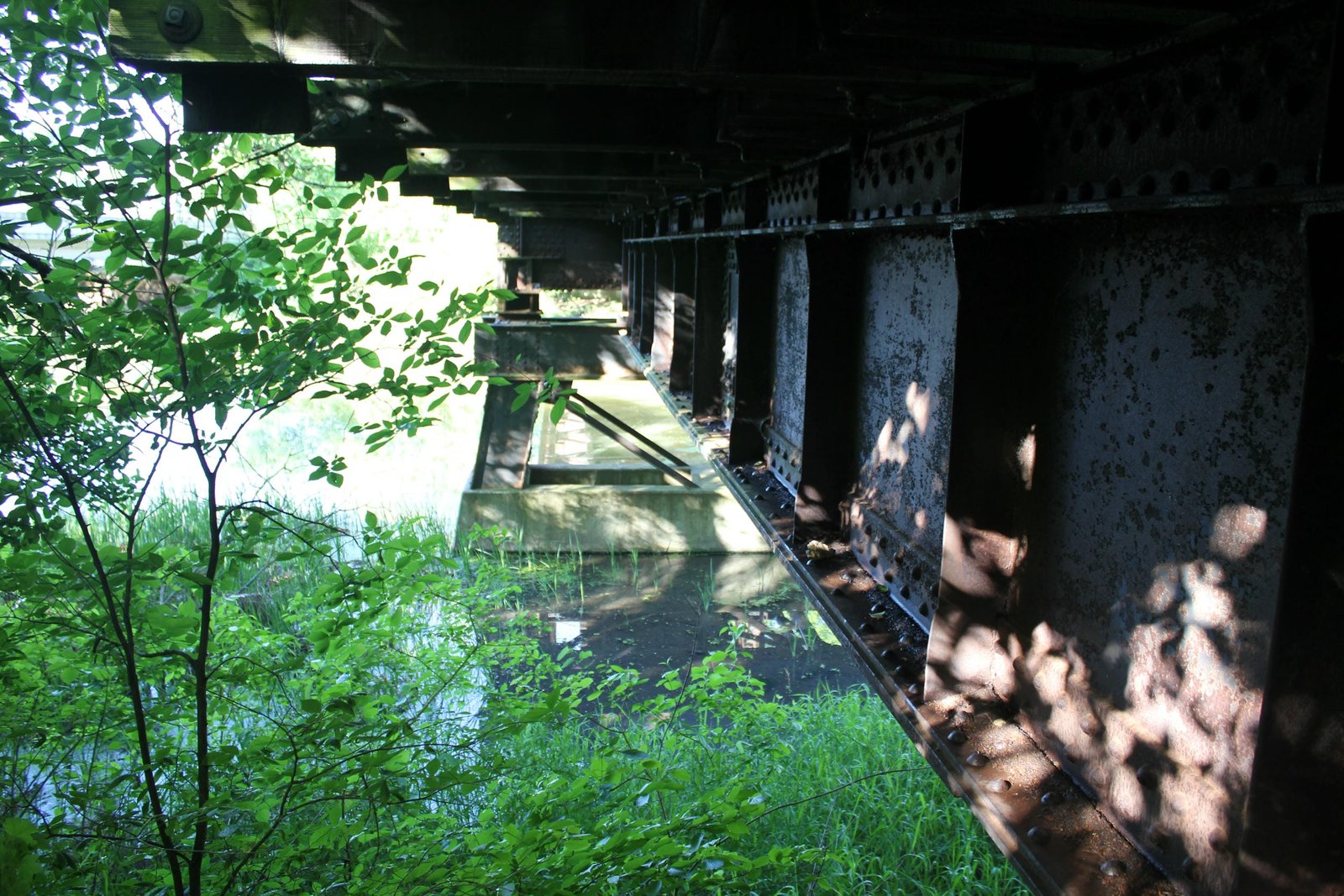 Looking south